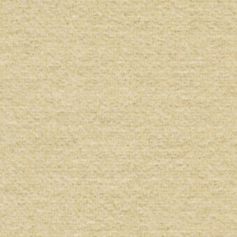 Beige texture sample displaying a matte, granular surface with consistent woven patterning and warm, muted tonal variations throughout the frame.